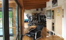 Galeriebild